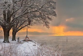 Überlingen 4916-2023, Morgensonne im Nebel am Uferpark West