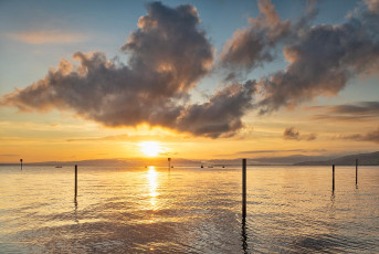 Arbon 0146-2024, Dalben und Fischer im Sonnenaufgang