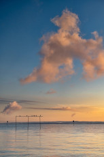 Arbon 0154-2024, Kormorane und Morgenwolken