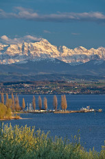 Birnau 0695-2024, Uhldinger Bucht und Alpstein im Frühjahr