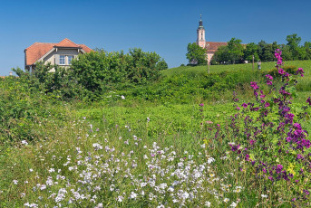Birnau 0745-2024, Bauerngarten Bahnwärterhäuschen und Barockki