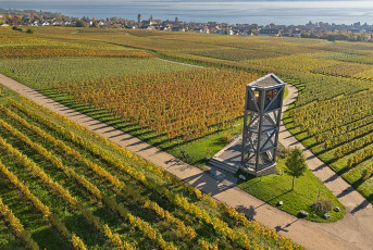 Hagnau 1722-2024, Rebturm Wilhelmshöhe und herbstliche Weinberg