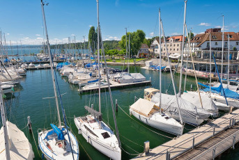 Konstanz 2238-2024, Hafen und Ufer in Staad