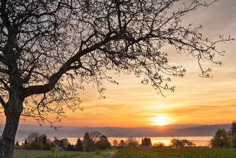 Litzelstetten 0042-2024, Sonnenaufgang auf dem Purren