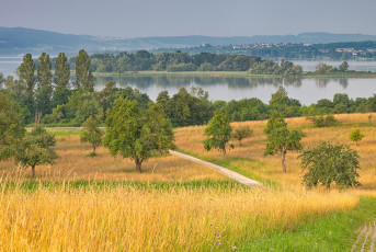 Markelfingen 0090-2024, Morgendlicher Blick zur Halbinsel Mettna