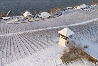 Meersburg 2253-2024, Winter an der Haltnau Drohnenaufnahme