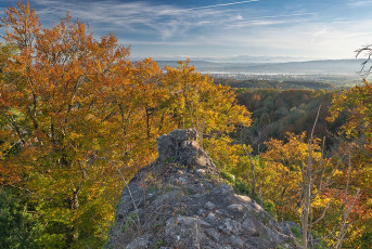 Radolfzell 0679-2024, Blick von Ruine Homburg auf Radolfzell, Se