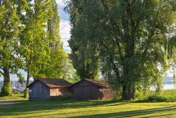 Reichenau 1068-2024, Bootsschuppen und Ufervegetation in Mittelz
