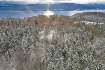 Sipplingen 1342-2024, Winterwald beim Haldenhof Drohnenaufnahme