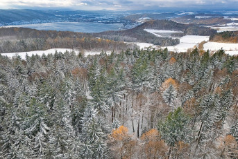 Sipplingen 1343-2024, Winterwald beim Haldenhof Drohnenaufnahme