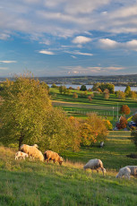 Allensbach 0604-2025, Blick vom Walzenberg auf Reichenau, See un