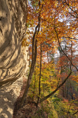 Bodman 0904-2024, Herbst im Echotal