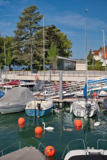 Hagnau 1767-2025, Neuer Westhafen