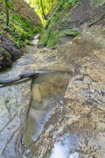 Langenrain 0066-2024, Bachlauf Nähe Ruine Kargegg