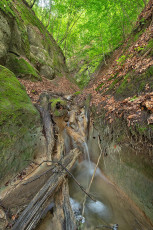 Langenrain 0092-2024, Bachlauf östlich der Marienschlucht