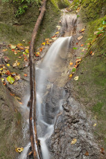 Langenrain 0248-2024, Bachlauf östlich der Marienschlucht