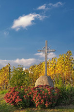 Stetten 0048-2025, Wegkreuz in den herbstlichen Weinbergen