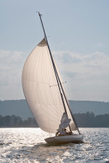 Überlingen 4996-2025, Segelboot im Gegenlicht