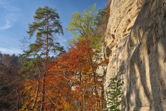 Bodman 0894-2024, Herbst im Echotal