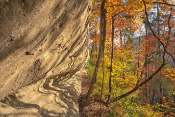 Bodman 0896-2024, Herbst im Echotal