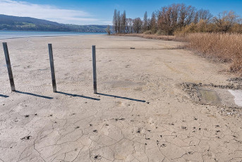 Horn 0201-2025, Ausgetrockneter Uferbereich am Hafen