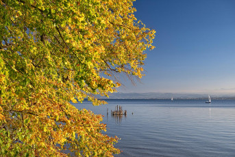 Immenstaad 1463-2025, Herbstliches Seeufer beim Schloss Kirchber