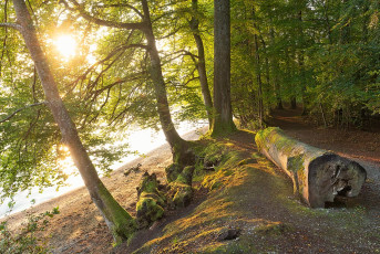 Langenrain 0179-2024, Seeufer nahe Katharinenschlucht