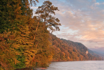 Langenrain 0236-2024, Ufer der Marienschlucht im Morgenlicht