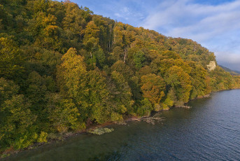 Langenrain 0278-2024, Seeufer im Herbst Drohnenaufnahme