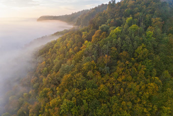 Langenrain 0291-2024, Bodanrück im Herbstnebel Drohnenaufnahme