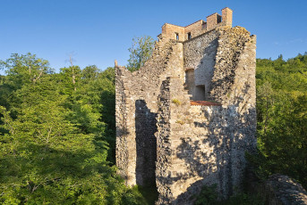 Mammern 0115-2025, Ruine Neuburg D