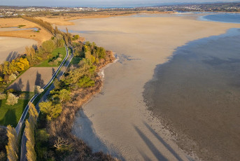 Reichenau 1101-2025, Niedrigwasser Wollmatinger Ried D
