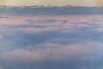 Sipplingen 1368-2025, Blick über Nebelmeer auf Kirchturmspitze