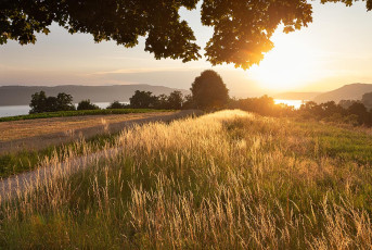 Überlingen 4971-2025, Abendstimmung auf dem Eglisbol