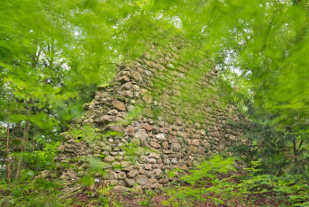 Wallhausen 0170-2024, Ruine Alt-Dettingen
