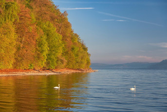 Wallhausen 0256-2025, Ufer beim Teufelstisch vom Wasser