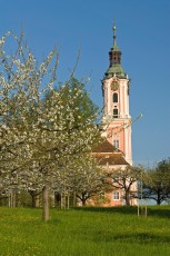 Birnau 013-2007, Frühlingsblüte an der Kirche