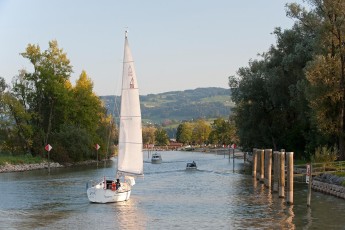 Altenrhein 012-2009, Blick in die Altrheinmündung