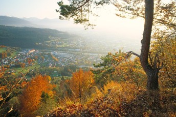 Fluh, Känzele, Herbstlicher Blick ins Rheintal