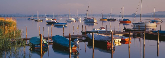Iznang, Ankernde Boote im Morgenlicht