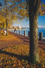 Friedrichshafen, Herbstlaub an der Promenade HOCH