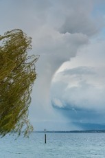 Hagnau 0769-2012, Regenwolke und Weidenäste im Wind
