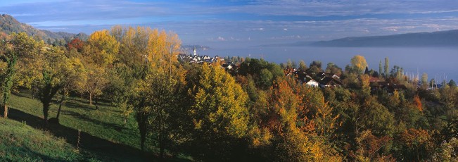 Sipplingen, Herbstpanorama