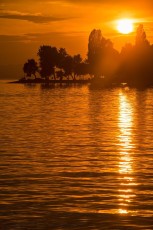 Immenstaad 0927-2012, Ufersilhouette im Sonnenuntergang