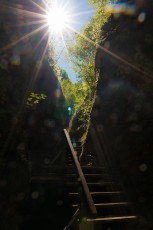 Langenrain 0013-2012, Treppe in der Marienschlucht im Gegenlicht