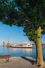 Konstanz 0976-2015, Hafeneinfahrt und Platane vom Gondelhafen au