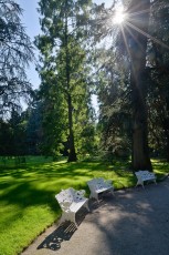 Mainau 0743-2012, Arboretum