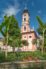 Mainau 1120-2014, Schlosskirche und Palmen
