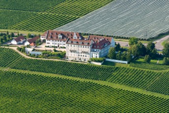 Immenstaad 1034-2014, Luftaufnahme Schloss Kirchberg und Weinber