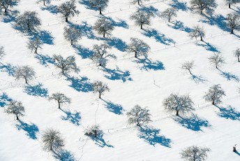 Lindau 1035-2013, Luftaufnahme Streuobstwiese im Winter